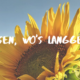 Sonnenblume Feedback Newsletter